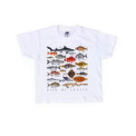 Mediterraneo Editions Ψάρια της Ελλάδας Παιδικό T-Shirt