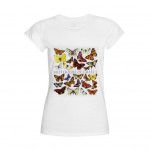 Mediterraneo Editions Greek Butterflies Women T-Shirt