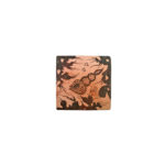 Wall Hanging Sea Shell