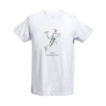 Dodeka Hermes Men T-Shirt