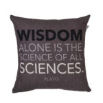 Sophia Plato Dark Grey Cushion